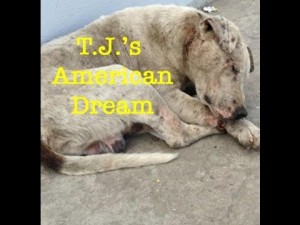 T.J.'s American Dream